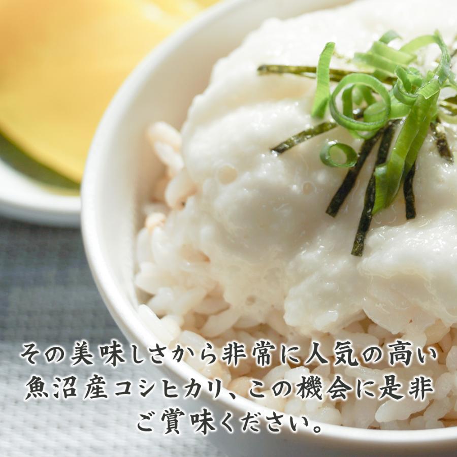 セール 【白米】 令和7年産 魚沼産 コシヒカリ 10kg(5kg×2袋) 国産