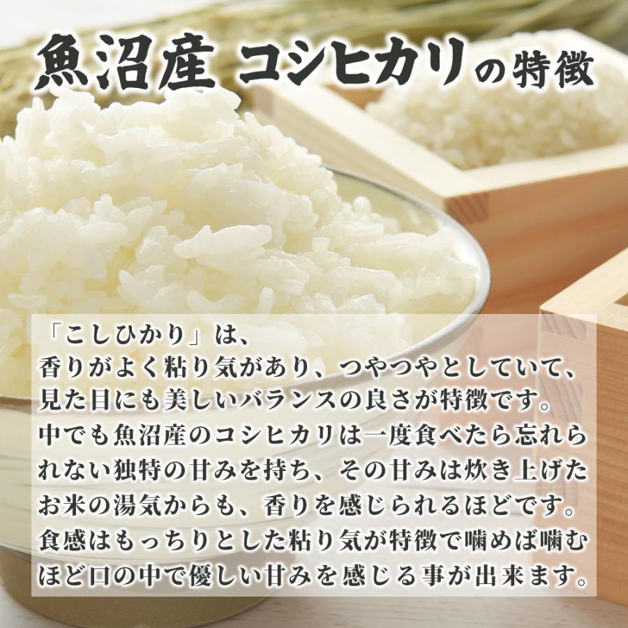 令和６年産白米 令和6年新米】イセヒカリ白米5kg ご予約 〈10月下旬〜11月初旬の