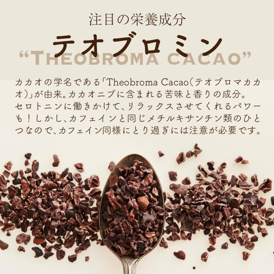 ナチュラルココアパウダー 500g 送料無料 [ ココア 砂糖不使用 ナチュラルココアパウダー 500g 送料無料 [ ココア 砂糖不使用