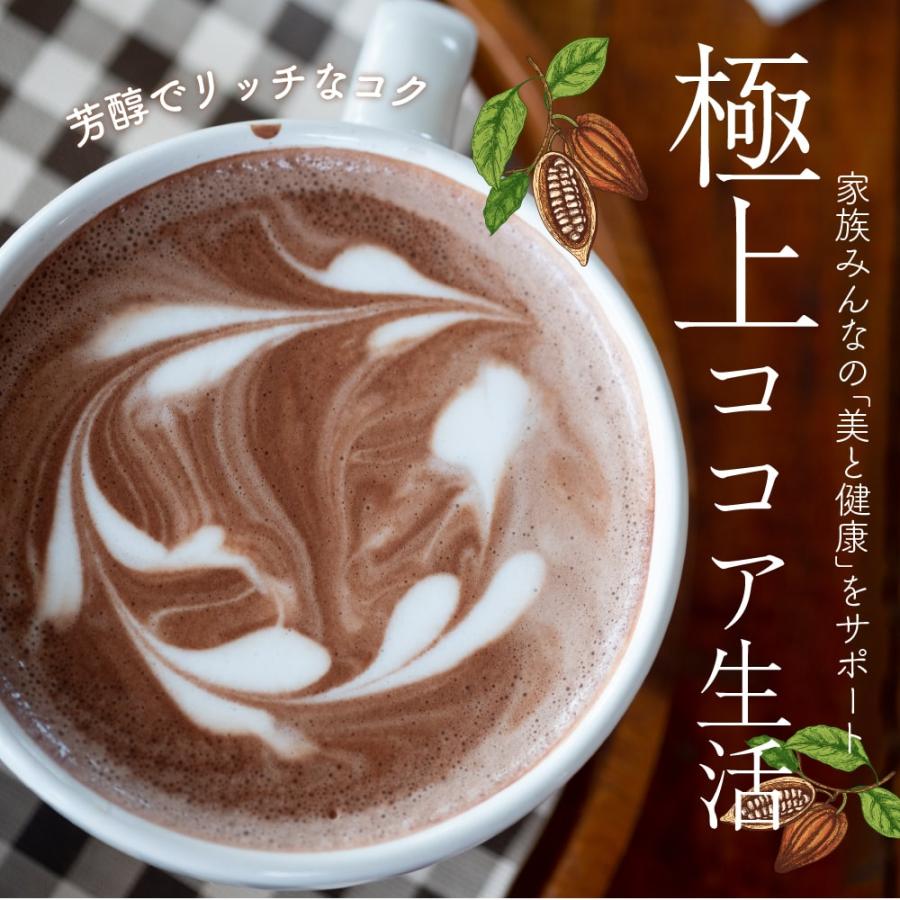 ナチュラルココアパウダー 500g 送料無料 [ ココア 砂糖不使用 ナチュラルココアパウダー 500g 送料無料 [ ココア 砂糖不使用