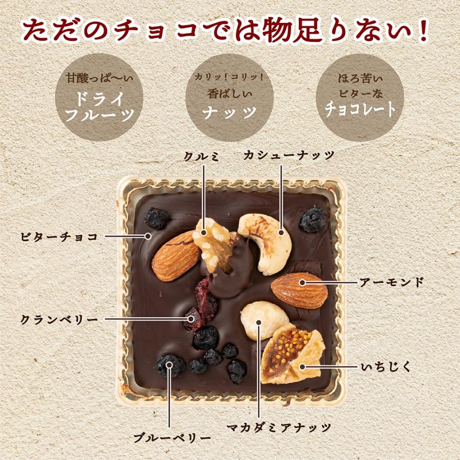 ナッツフルーツショコラ 四角型 1箱入り 送料無料 ハイカカオ チョコ