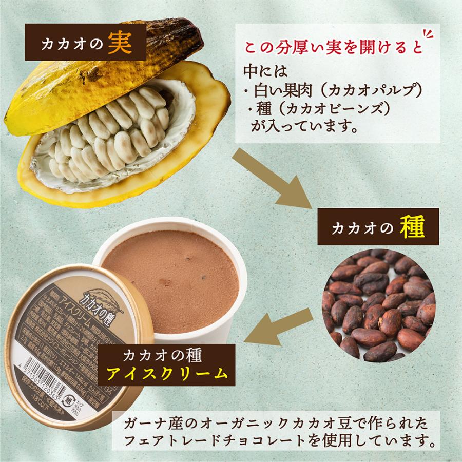 カップアイス カカオの種 80ml×6個入 送料無料 スイーツ アイス