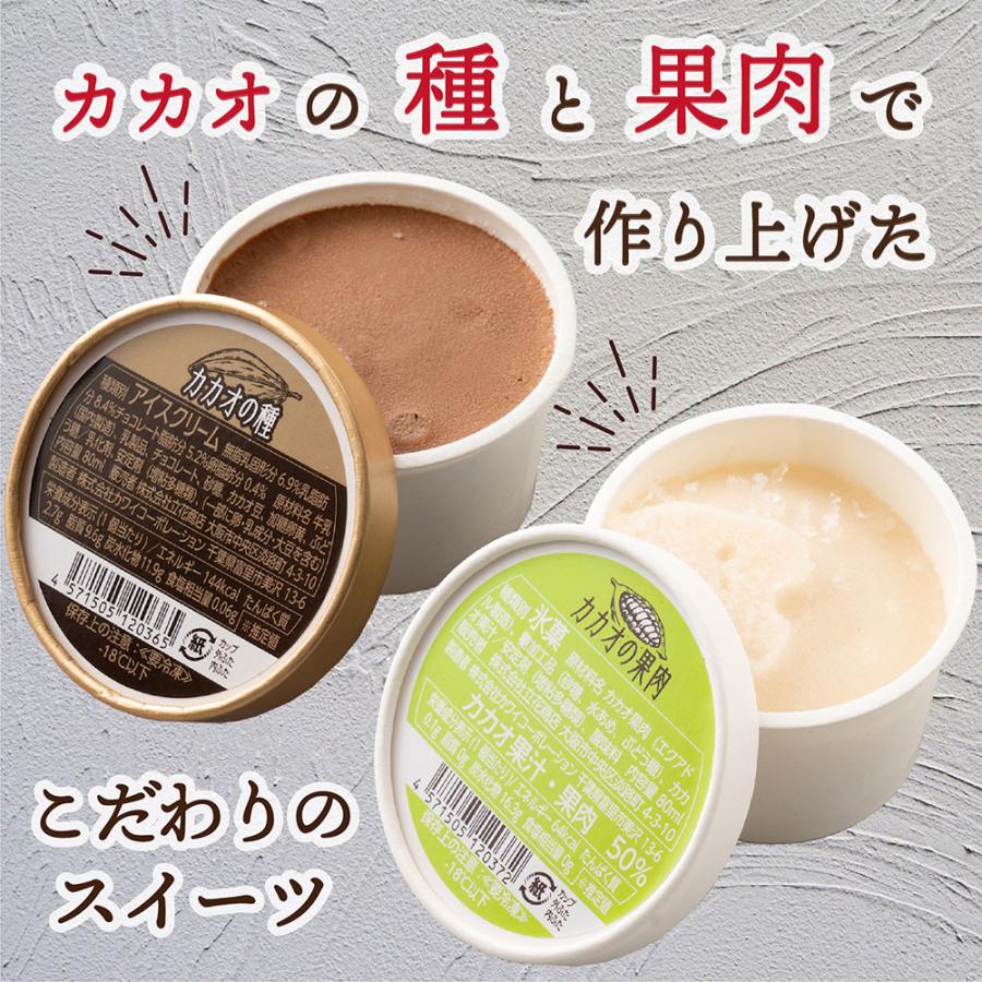 カップアイス カカオの種＆カカオの果肉 2種セット 80ml×各9個(合計18