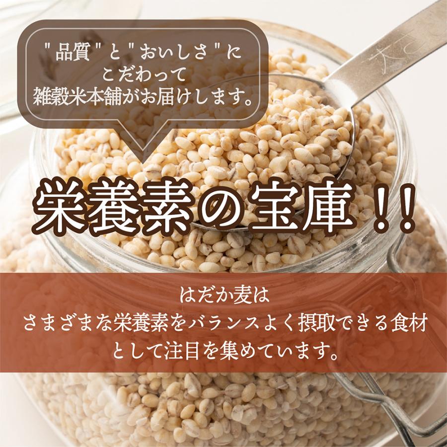 雑穀 雑穀米 国産 はだか麦 4kg(400g×10袋) 無添加 無着色 はだかむぎ 裸麦 ダイエット食品 送料無料 爆買_3