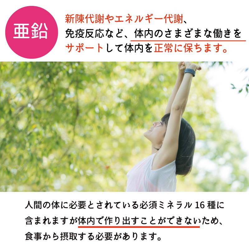 ヘルシー アンド ミックスナッツ 300g お買い得 送料無料 素焼き ドライロースト 無塩 無油 無添加 無着色 アーモンド マカダミアナッツ カシューナッツ クルミ|healthyand|08