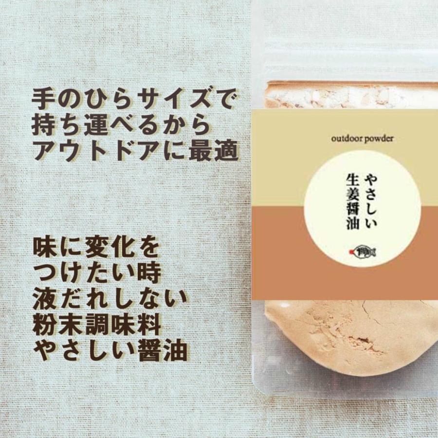 アウトドア　やさしい生姜醤油　粉末　30g×3袋【調味料/料理/キャンプ/BBQ】｜healthybestshop｜02