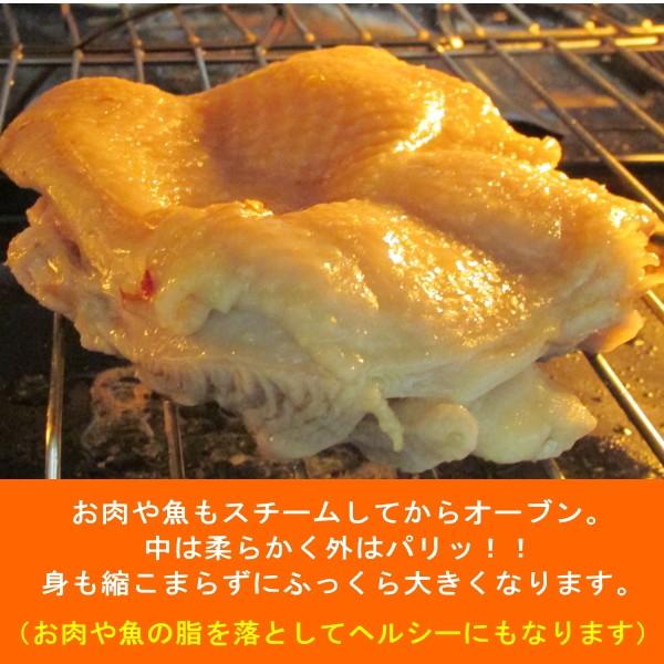 フォーマック パワースチームオーブン ニューグランシェフ 送料無料