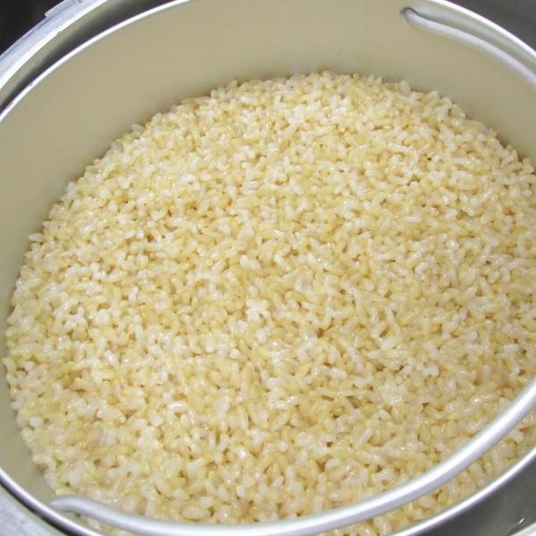 平和圧力鍋 ヘイワ圧力鍋 マジックブラウン MB-623 6.0L 送料無料