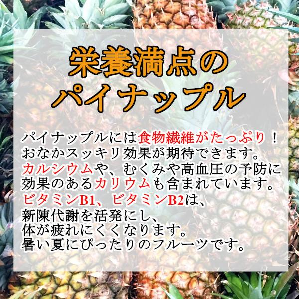 パイナップルジュース 果汁100％ 1L×12本 業務用 パインアップル agros  まとめ買い 濃縮還元  送料無料｜healthymarket｜04