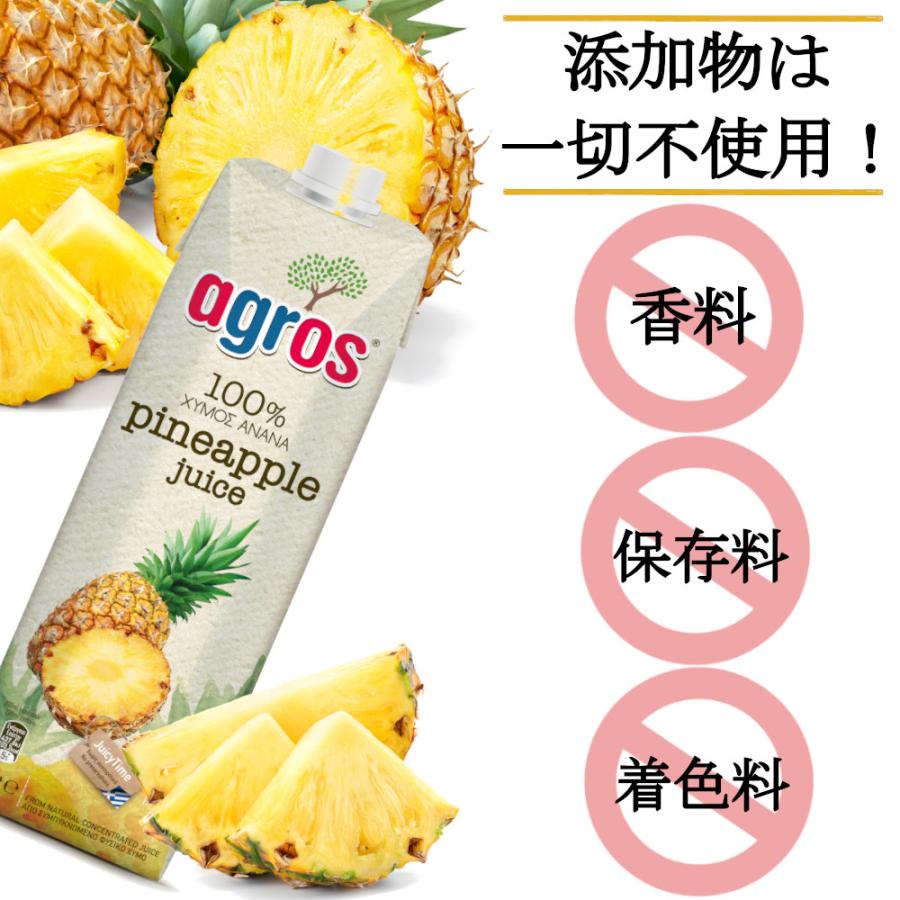 パイナップルジュース 果汁100％ 1L×12本 業務用 パインアップル agros  まとめ買い 濃縮還元  送料無料｜healthymarket｜02