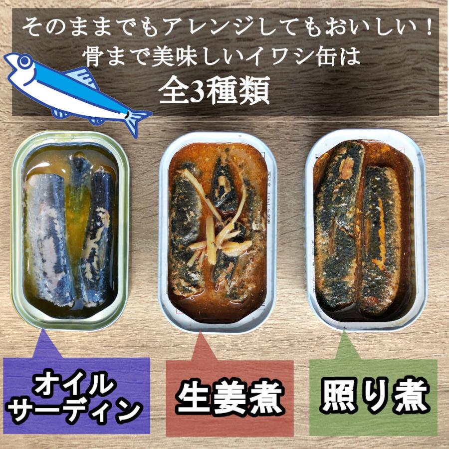 いわし照り煮缶 100gx24缶 業務用 鰯煮付け イワシ醤油煮 使い切りサイズ まとめ買い おつまみ アテ 酒の肴 おつまみセット 送料無料 C0028 Healthy Market Yahoo 店 通販 Yahoo ショッピング