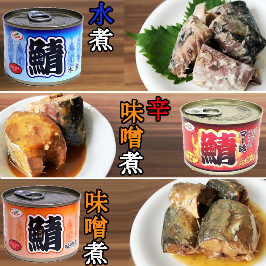 鯖缶 水煮缶 200gx12缶 さば サバ缶 まとめ買い 業務用 おつまみ 送料