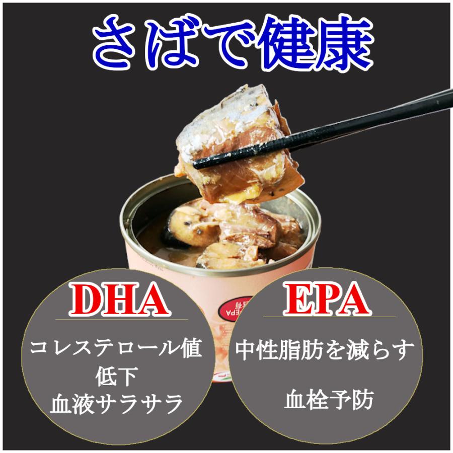 さば缶 トマト煮 150gx48缶 鯖缶 サバ 缶詰 おつまみ アテ 酒の肴 業務
