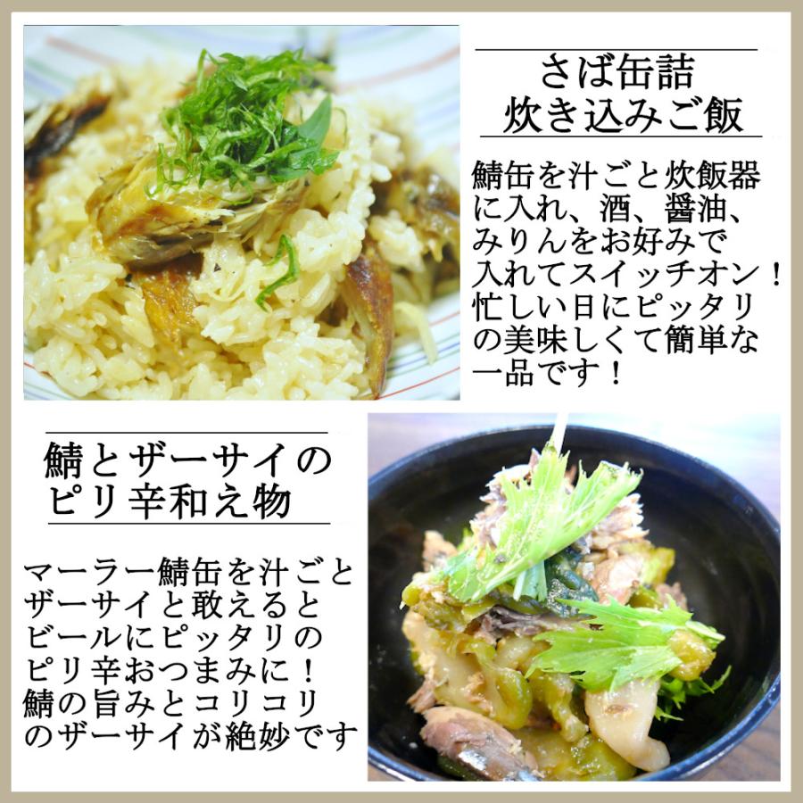 さば缶 トマト煮 150gx48缶 鯖缶 サバ 缶詰 おつまみ アテ 酒の肴 業務