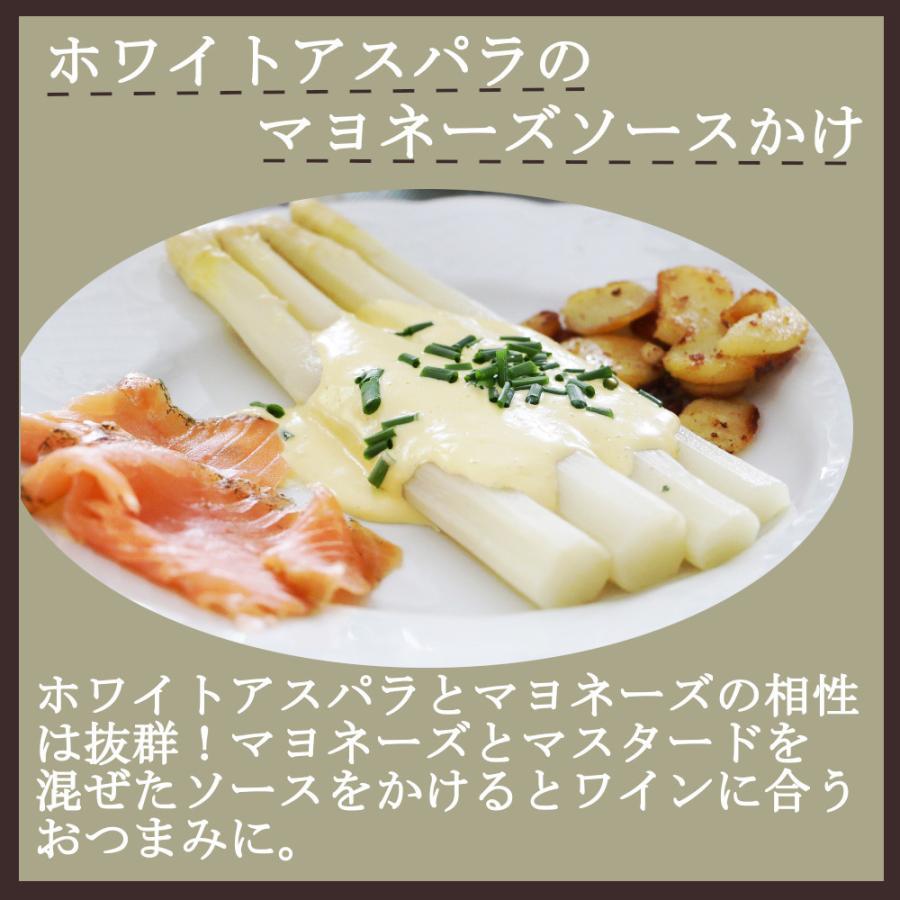 ホワイトアスパラガス 瓶 330gx12瓶 業務用 缶詰 白アスパラ