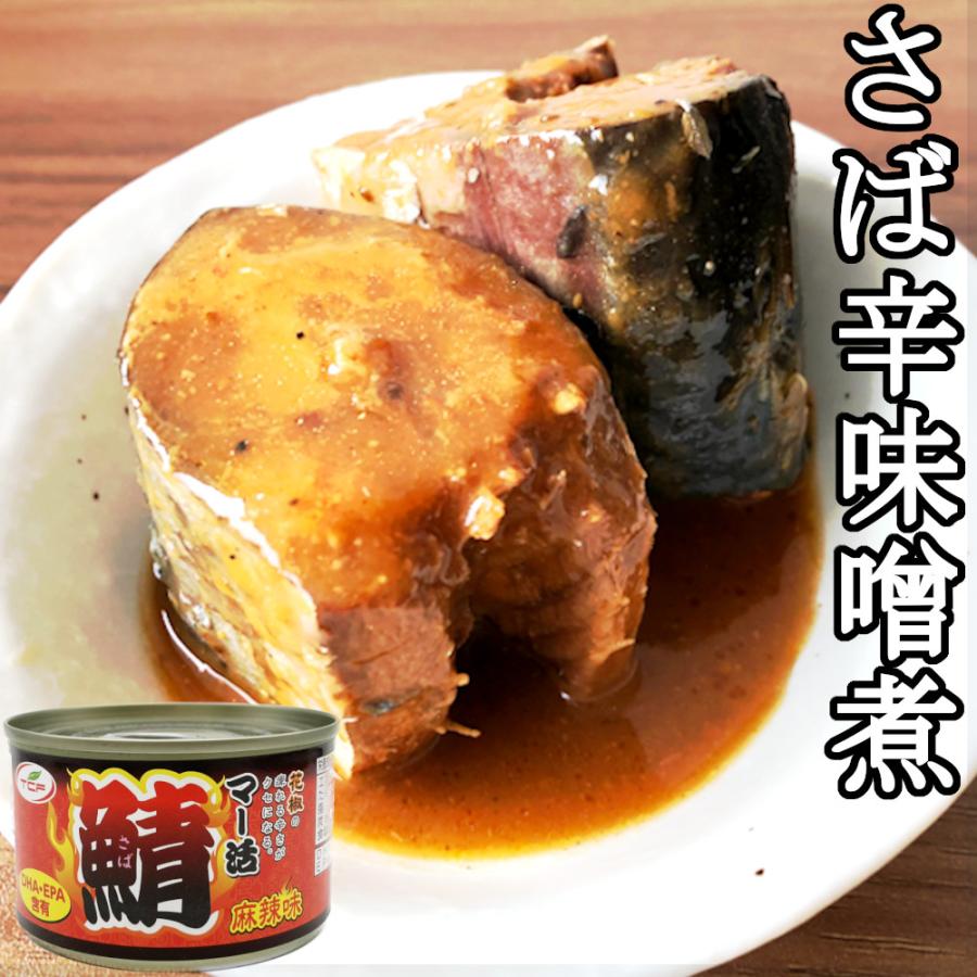 鯖缶  詰め合わせ 150gｘ48缶 （サバ 水煮 味噌煮 イカ味付） まとめ買い おつまみ 鯖 缶詰 アテ 酒の肴 おつまみセット｜healthymarket｜07