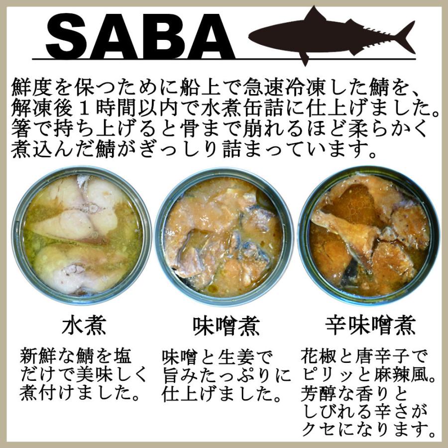 鯖 味噌煮缶 200gx6缶 さばみそ煮 味噌煮 サバ缶 買い置き