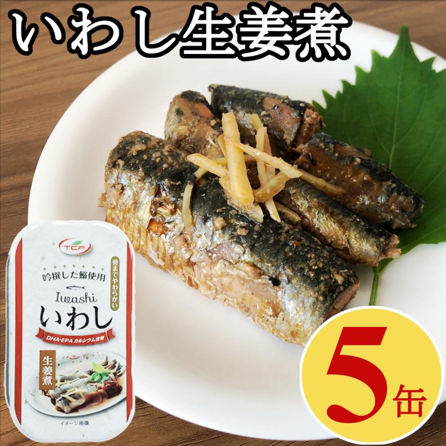 いわし生姜煮缶 100gx5缶 業務用 鰯ショウガ煮付け イワシ煮