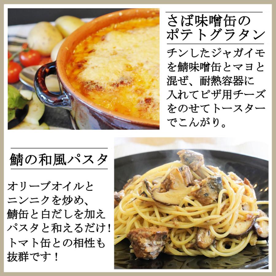 鯖缶 水煮 150gx48缶 サバ 缶詰 賞味期限27年10月2日 さば缶 さばかん