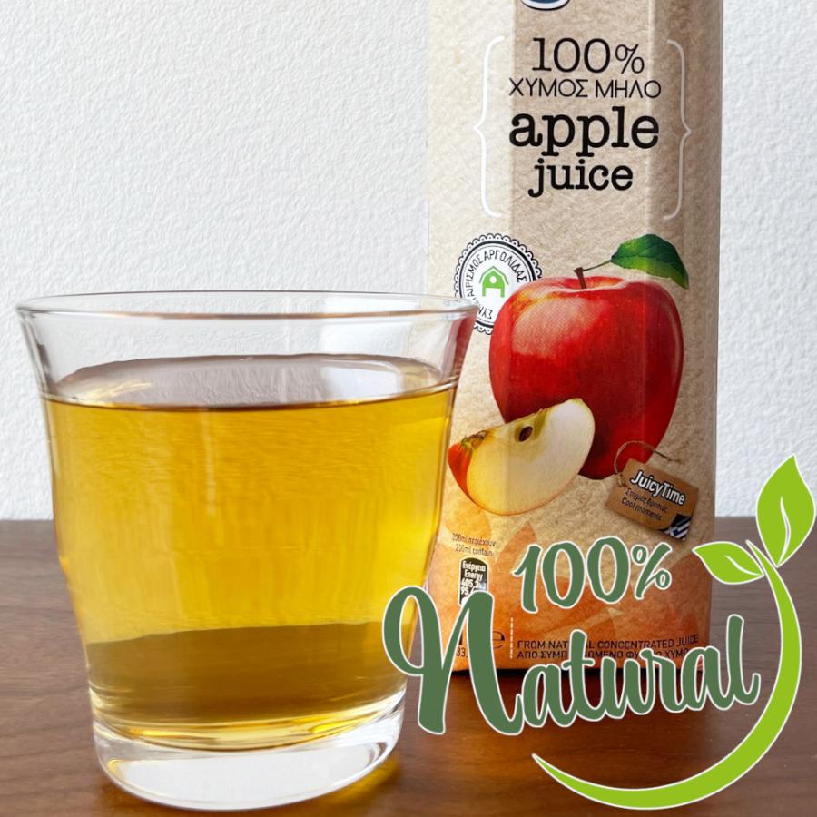 アップルジュース りんご 果汁100％ 1L×6本 業務用 agros ギリシャ産