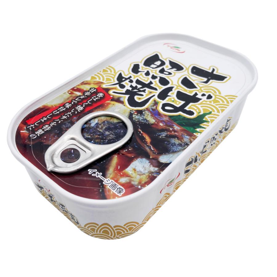 鯖缶 照り焼き100gx24缶 サバ 缶詰 さば缶 照焼 おつまみ アテ 酒の肴