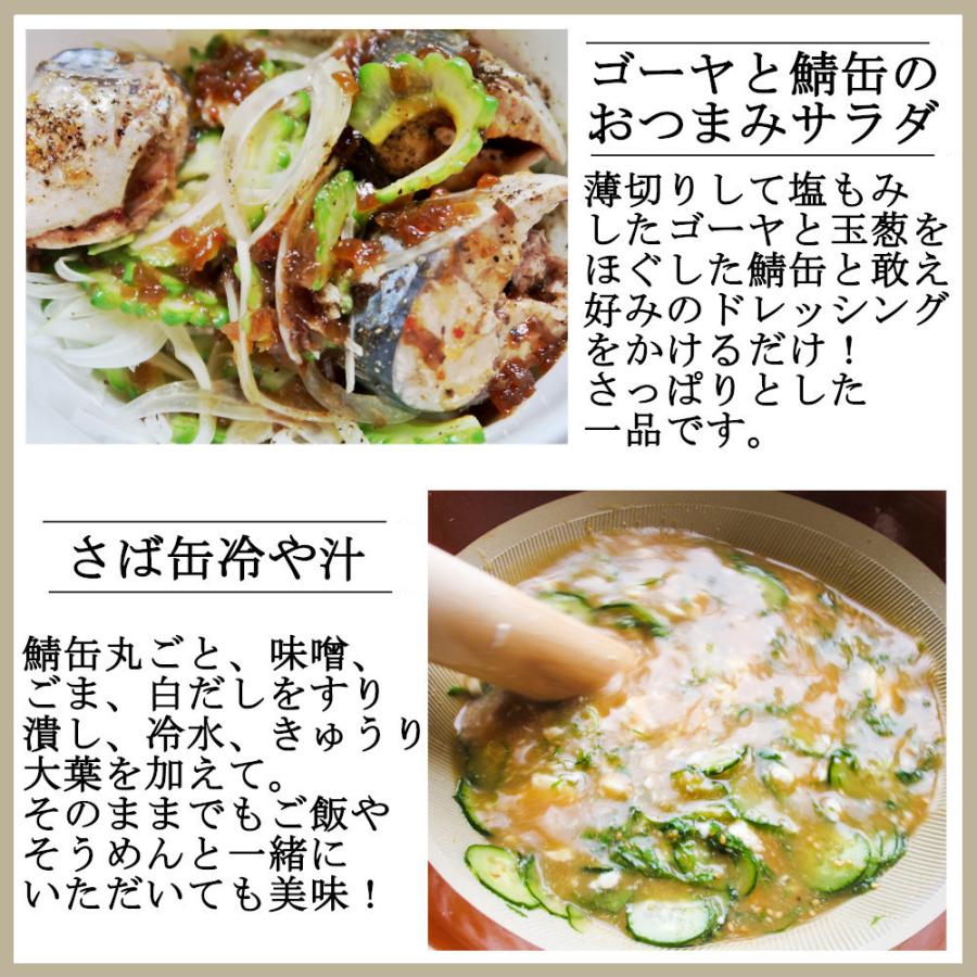 鯖缶 辛味噌煮 150gx48缶 サバ缶 マー活 麻辣味 シビ辛 賞味期限27年6