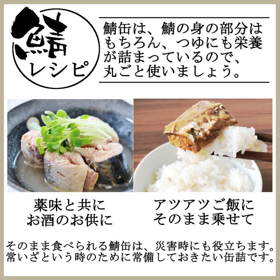 鯖缶 辛味噌煮 150gx12缶 サバ缶 マー活 麻辣味 シビ辛 賞味期限27年6