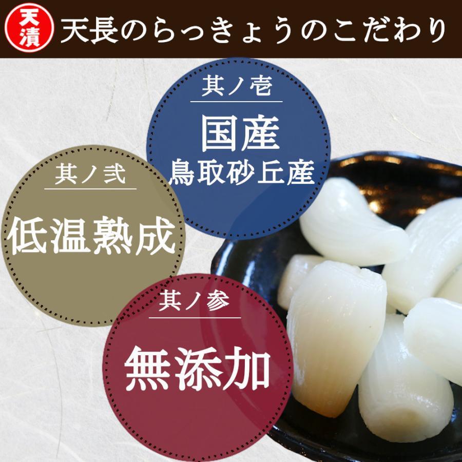 らっきょう 国産 ピリ辛 190gx3袋 鳥取 ふぞろい 無添加 低温熟成 国産 ラッキョウ漬け 甘酢漬け らっきょう 送料無料｜healthymarket｜02