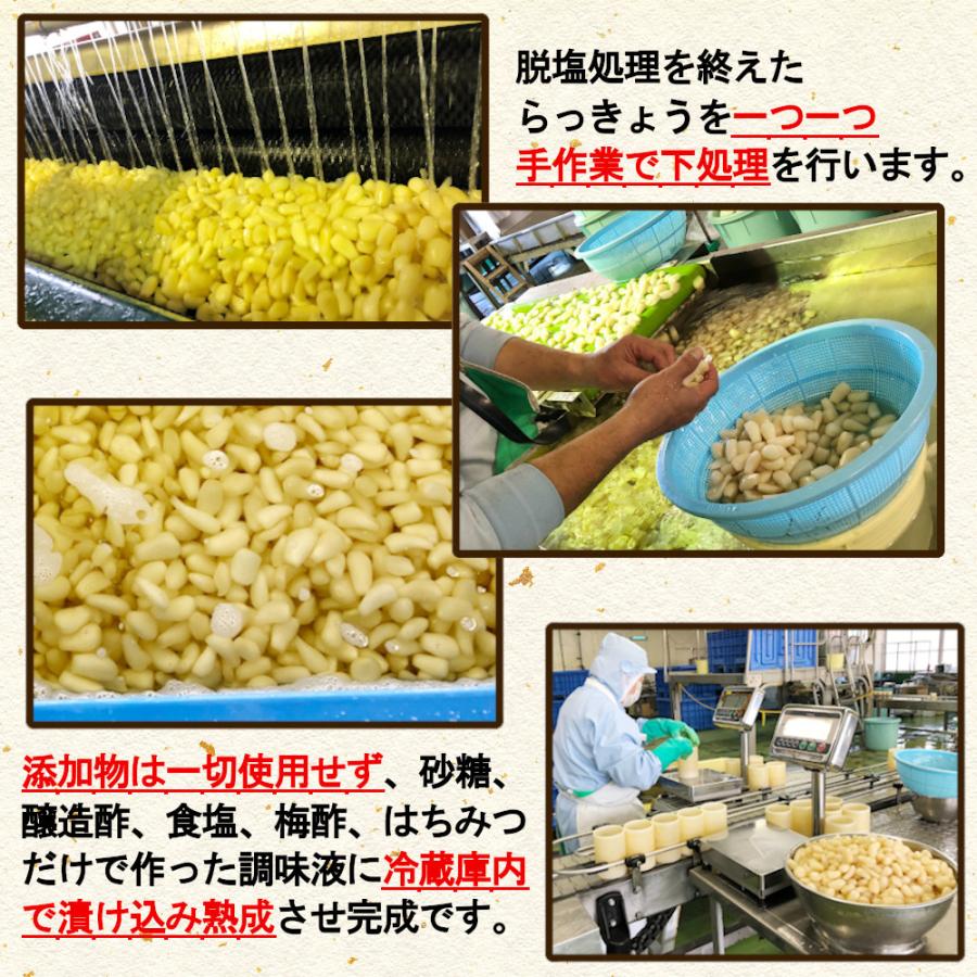 国産らっきょう漬け お試しセット 190g×2種 (甘酢漬け＆ピリ辛）無添加  低温熟成 送料無料 鳥取砂丘 ラッキョウ｜healthymarket｜06