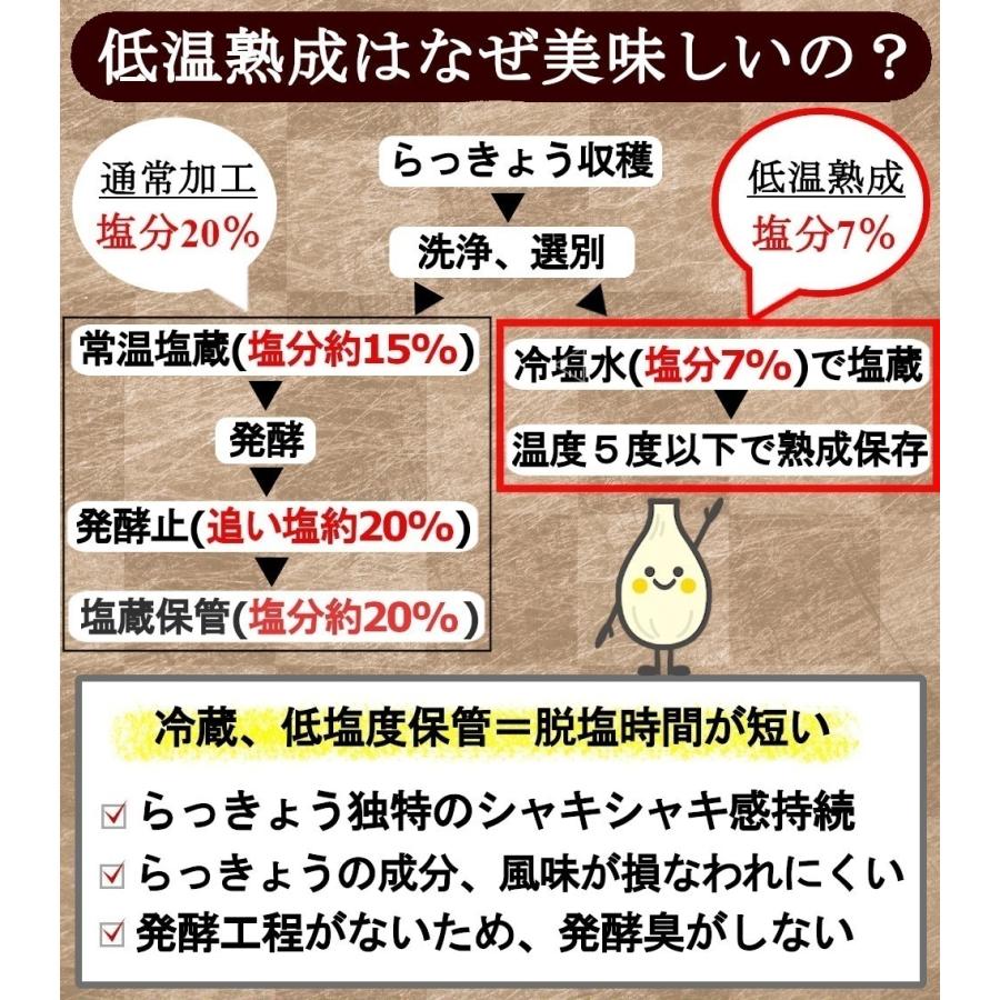 国産らっきょう漬け お試しセット 190g×2種 (甘酢漬け＆ピリ辛）無添加  低温熟成 送料無料 鳥取砂丘 ラッキョウ｜healthymarket｜07