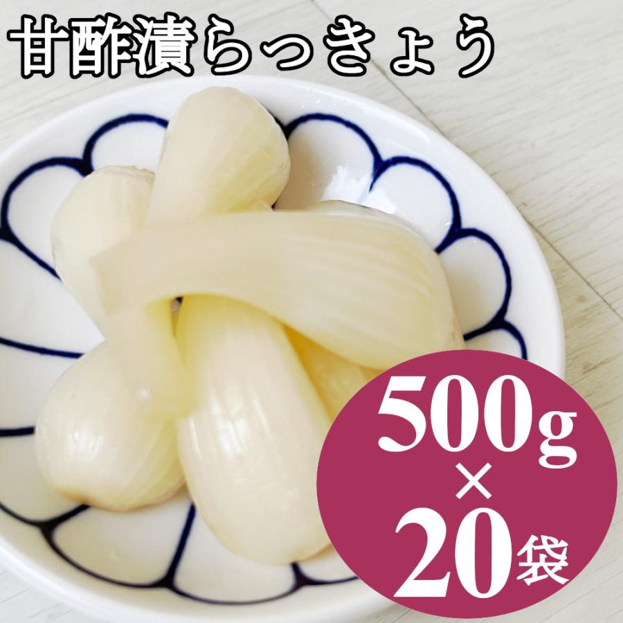 らっきょう漬け 10kg (500gx20袋) 国内加工 甘酢漬け ラッキョウ漬け