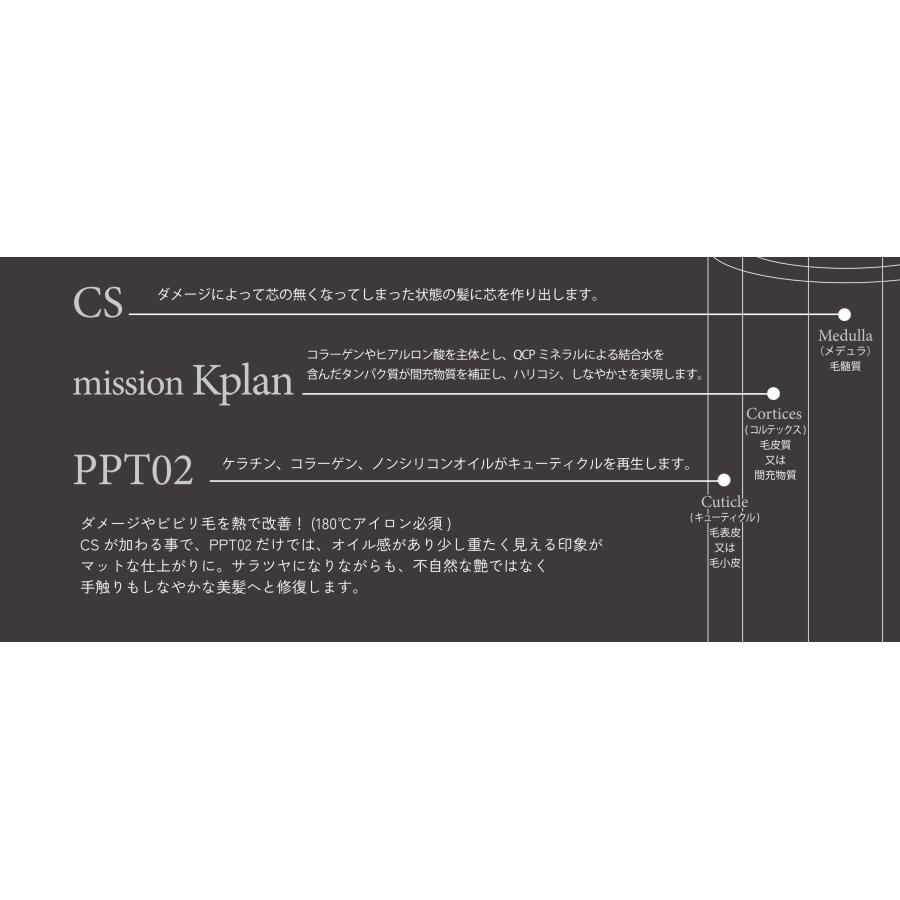 洗い流さない トリートメント ヘアケア オイル ダメージ ハイダメージ