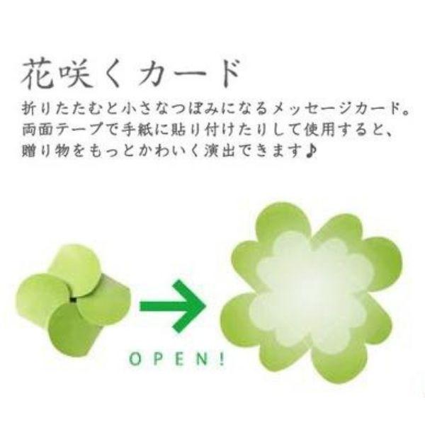 色紙用カード 花咲くカード 四つ葉 10枚入 卒業 退職 贈る言葉 先生へ 退職される方へ 友達へ 感謝の気持ちを込めて 温かい贈り物 Art Ar ラッピングのハートサプライ 通販 Yahoo ショッピング