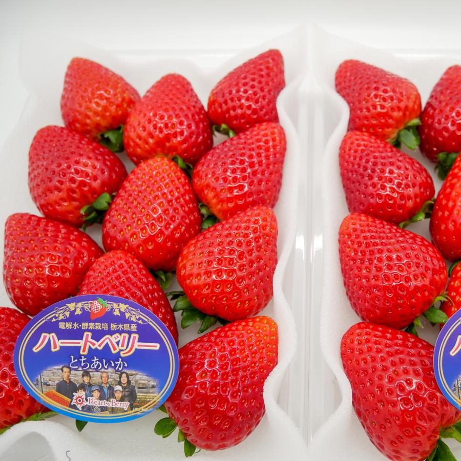 完熟とちあいか DX(デラックス) 350g 2パック 栃木県産 いちご 完熟とちあいか DX(デラックス) 350g 2パック 栃木県産 いちご
