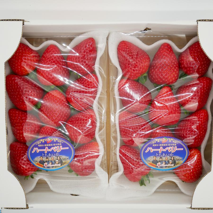 完熟とちあいか DX(デラックス) 350g 2パック 栃木県産 いちご 完熟とちあいか DX(デラックス) 350g 2パック 栃木県産 いちご