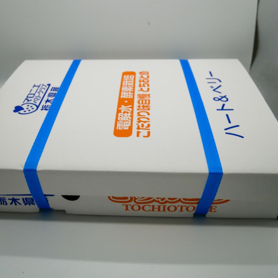 完熟とちあいか DX(デラックス) 350g 2パック 栃木県産 いちご 完熟とちあいか DX(デラックス) 350g 2パック 栃木県産 いちご
