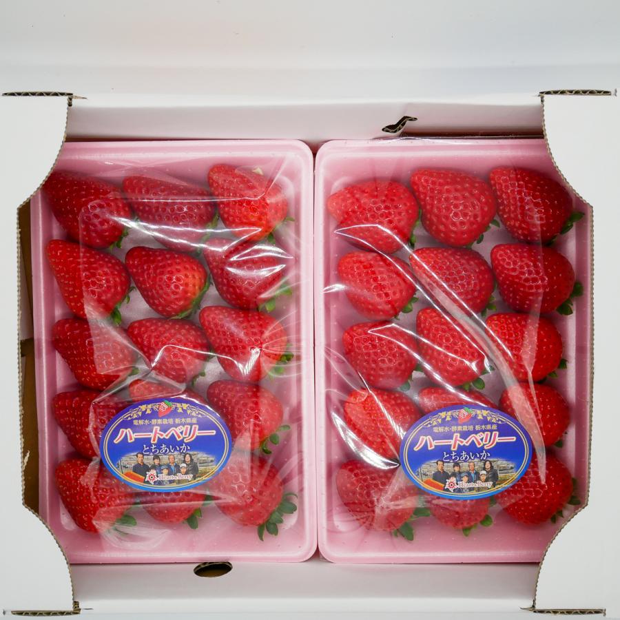 完熟とちあいか Grande(グランデ) 270g 2パック 栃木県産 完熟とちあいか Grande(グランデ) 270g 2パック 栃木県産