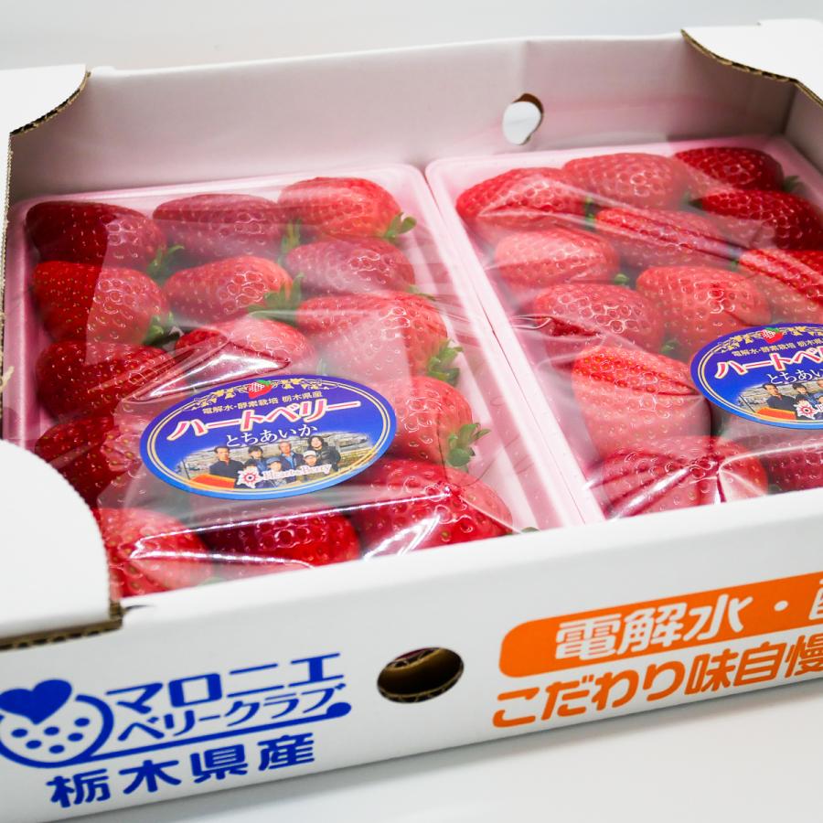完熟とちあいか　Grande（グランデ）　270g　2パック　栃木県産　いちご　ブランドいちご　苺