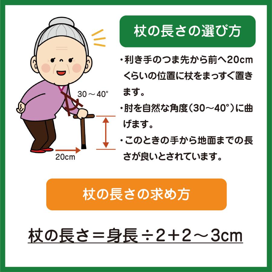母の日 杖 おしゃれ 歩行 運動 軽量 自立 DFP ポータブルセクター2 2本1組 / W2270【介】_3