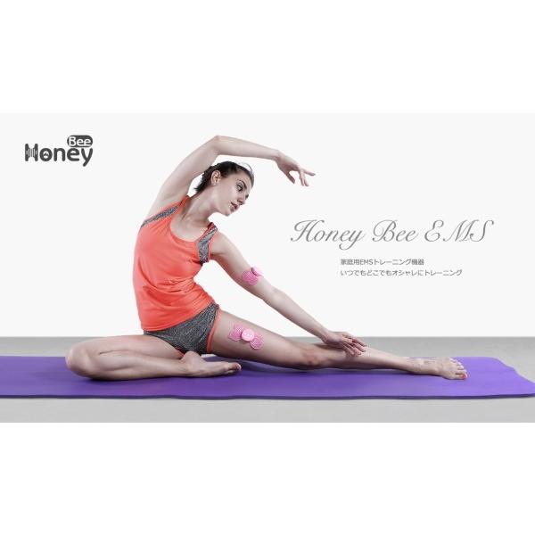 Honey Bee EMS |  | 02