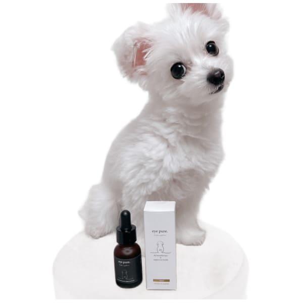 R&L アイピュア eye pure 20ml×2個セット サプリメント 犬用品 ペット 愛犬 涙やけ 小型 中型 大型 子犬 シニア犬 犬用 犬用サプリメント | R＆L | 01