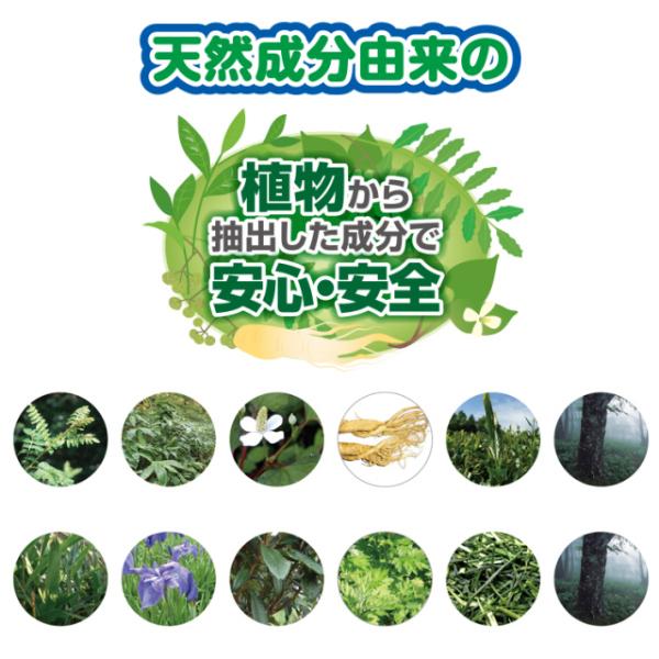 スパイダー バイバイ 300ml×3個セット 虫よけ剤 防虫 害虫駆除 クモ 蜘蛛 カメムシ 虫除けスプレー 虫除け 虫除け芳香剤 忌避剤 日本製｜heartdrop｜04