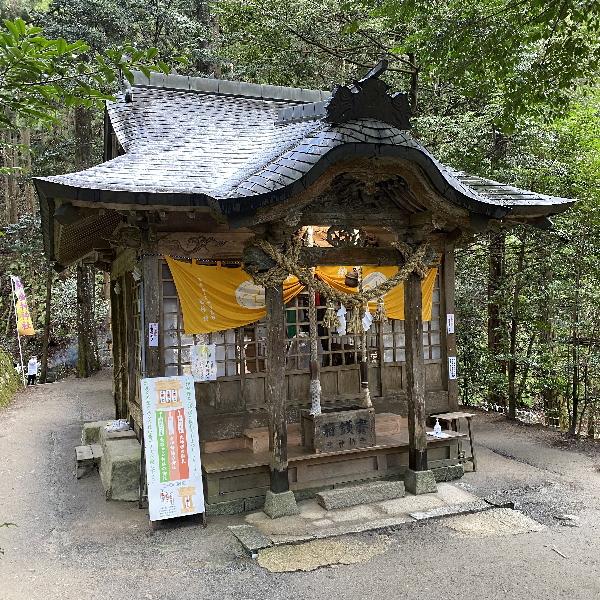 金運黄金縁起物 巳 桐箱付き 開運 金持神社 商売繁盛 一粒万倍日 祈願