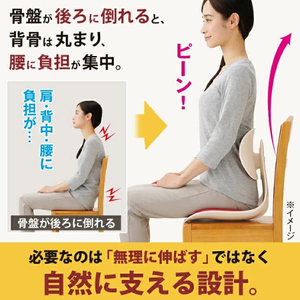 腰にピタッと美姿勢チェア 姿勢矯正 座椅子 デスクワーク 姿勢 腰の