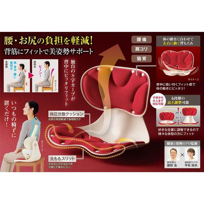 腰にピタッと美姿勢チェア 姿勢矯正 座椅子 デスクワーク 姿勢 腰の