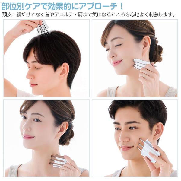ニーズ Cellsh セルシュ トリプルスティック 美顔器 かっさ マッサージ