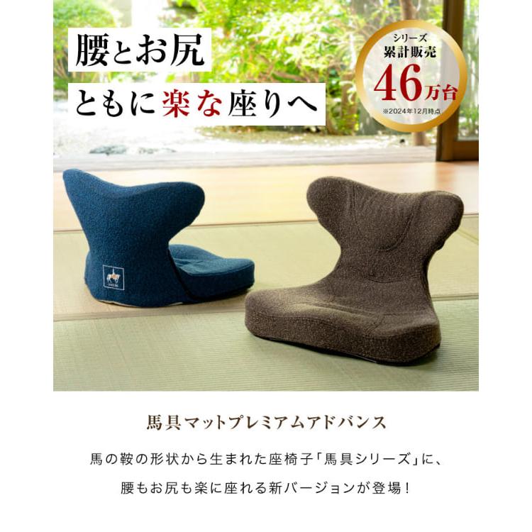 ドリーム 馬具マットプレミアムアドバンス 座椅子 座いす 椅子 イス