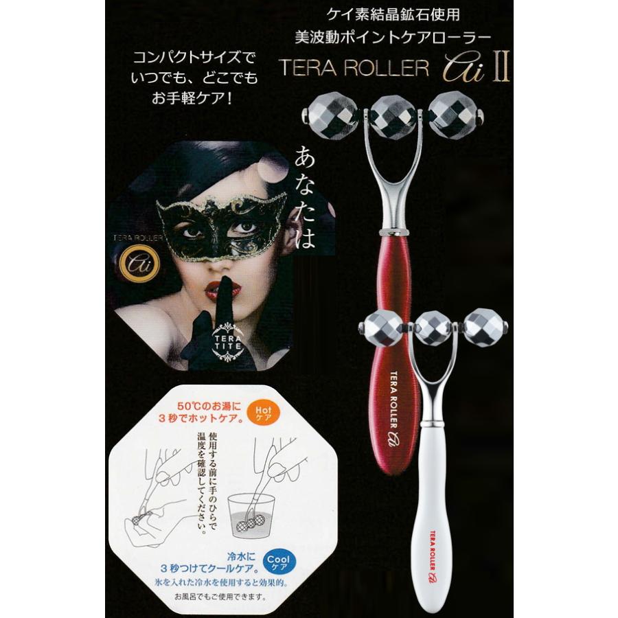 テラローラー アイII フェイスローラー フェイスケア 美顔器
