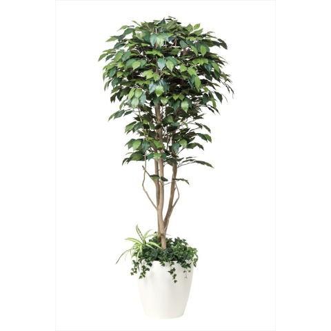 フィカスベンジャミン1.8m 植栽付 508A450-28 人工観葉 フェイクグリーン 造花 観葉植物 人工 光触媒 人工観葉植物 開店祝い