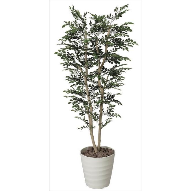 トネリコ1.8m 146C450-31 人工観葉 フェイクグリーン 造花 観葉植物 人工 光触媒 人工観葉植物 新築祝い 開店祝い 引越し祝い